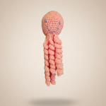 Pulpo Amigurumi para Bebé – Juguete de Apego y Estimulación